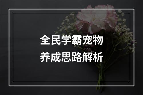 全民学霸宠物养成思路解析