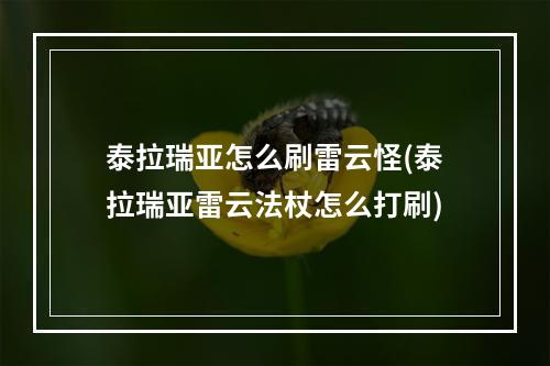 泰拉瑞亚怎么刷雷云怪(泰拉瑞亚雷云法杖怎么打刷)