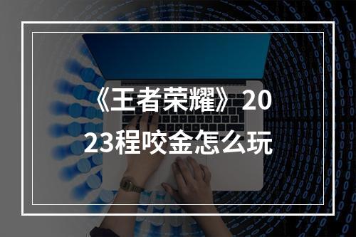 《王者荣耀》2023程咬金怎么玩