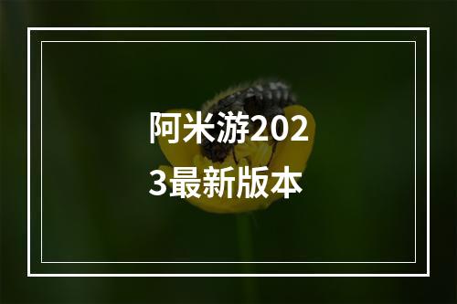 阿米游2023最新版本