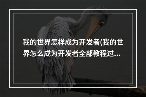 我的世界怎样成为开发者(我的世界怎么成为开发者全部教程过程)