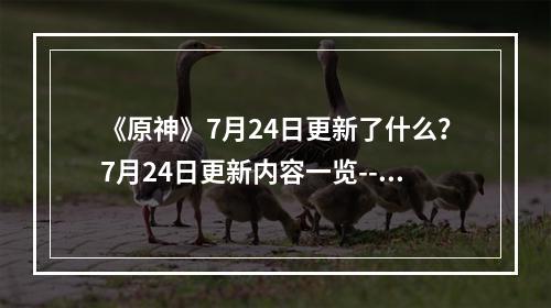 《原神》7月24日更新了什么？7月24日更新内容一览--安卓攻略网