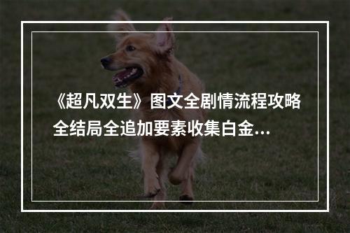 《超凡双生》图文全剧情流程攻略 全结局全追加要素收集白金奖杯攻略--手游攻略网