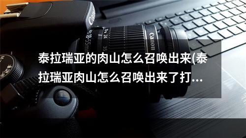 泰拉瑞亚的肉山怎么召唤出来(泰拉瑞亚肉山怎么召唤出来了打不了)