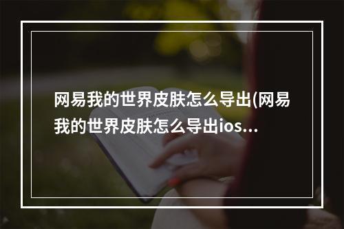 网易我的世界皮肤怎么导出(网易我的世界皮肤怎么导出ios)