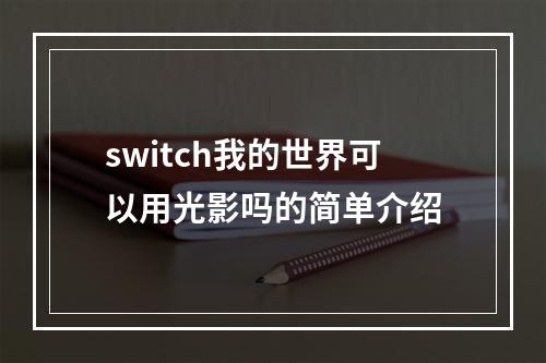 switch我的世界可以用光影吗的简单介绍