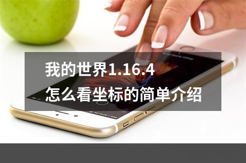 我的世界1.16.4怎么看坐标的简单介绍