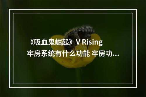 《吸血鬼崛起》V Rising牢房系统有什么功能 牢房功能介绍--手游攻略网