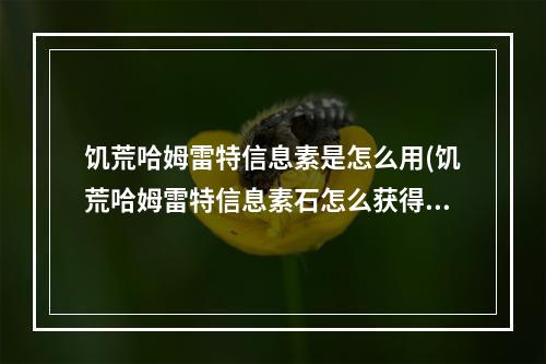 饥荒哈姆雷特信息素是怎么用(饥荒哈姆雷特信息素石怎么获得)