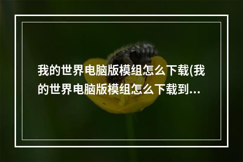 我的世界电脑版模组怎么下载(我的世界电脑版模组怎么下载到手机)