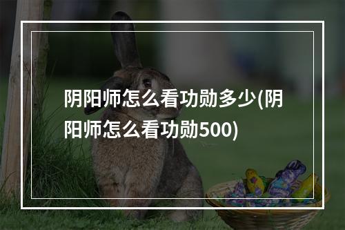 阴阳师怎么看功勋多少(阴阳师怎么看功勋500)