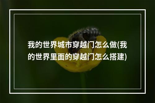 我的世界城市穿越门怎么做(我的世界里面的穿越门怎么搭建)