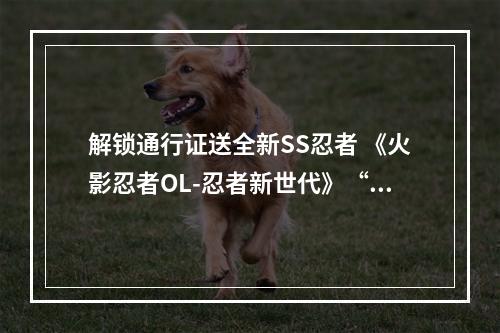 解锁通行证送全新SS忍者 《火影忍者OL-忍者新世代》“忍界·无禁季”正式解禁--游戏攻略网