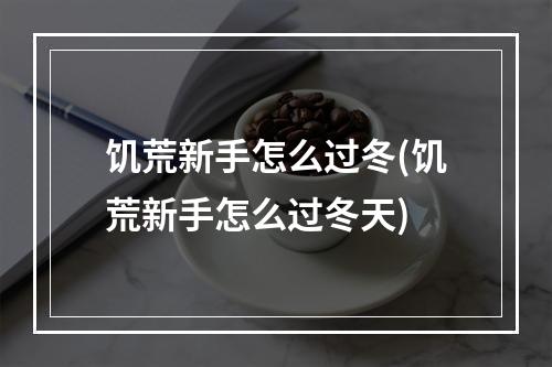 饥荒新手怎么过冬(饥荒新手怎么过冬天)