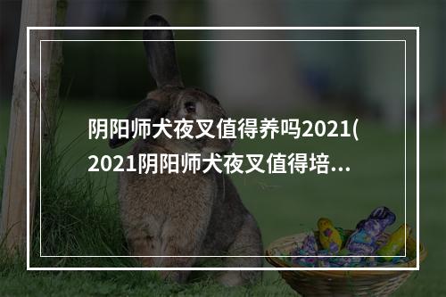 阴阳师犬夜叉值得养吗2021(2021阴阳师犬夜叉值得培养吗)