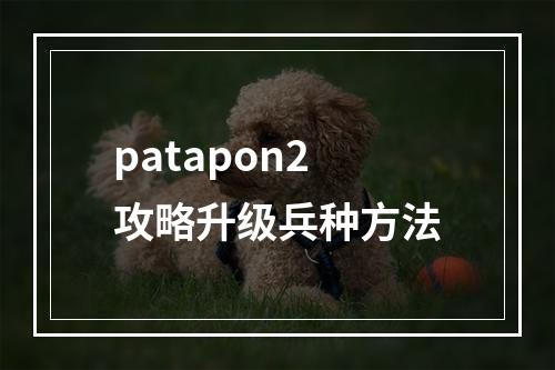 patapon2攻略升级兵种方法