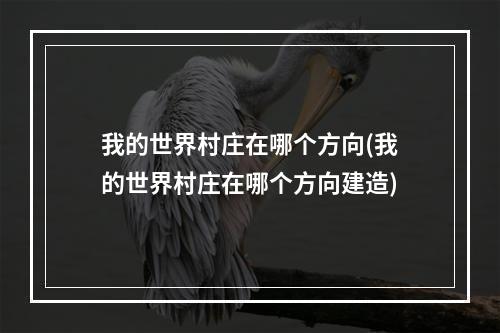 我的世界村庄在哪个方向(我的世界村庄在哪个方向建造)