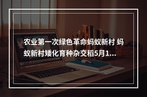 农业第一次绿色革命蚂蚁新村 蚂蚁新村矮化育种杂交稻5月14日答案分享--安卓攻略网