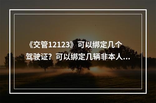 《交管12123》可以绑定几个驾驶证？可以绑定几辆非本人机动车？--游戏攻略网