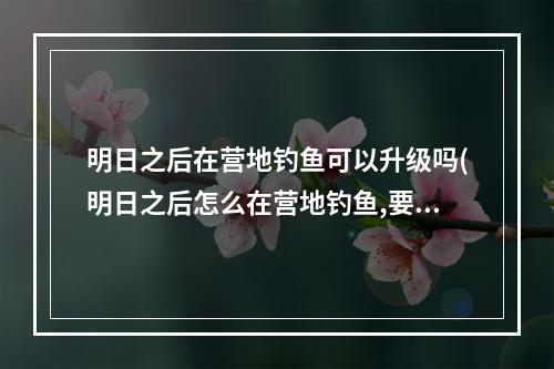 明日之后在营地钓鱼可以升级吗(明日之后怎么在营地钓鱼,要鱼竿吗)