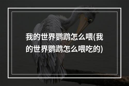 我的世界鹦鹉怎么喂(我的世界鹦鹉怎么喂吃的)