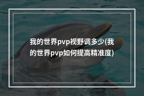 我的世界pvp视野调多少(我的世界pvp如何提高精准度)