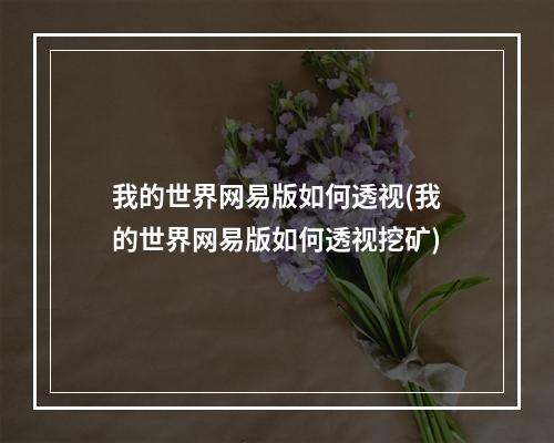 我的世界网易版如何透视(我的世界网易版如何透视挖矿)