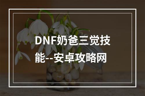 DNF奶爸三觉技能--安卓攻略网