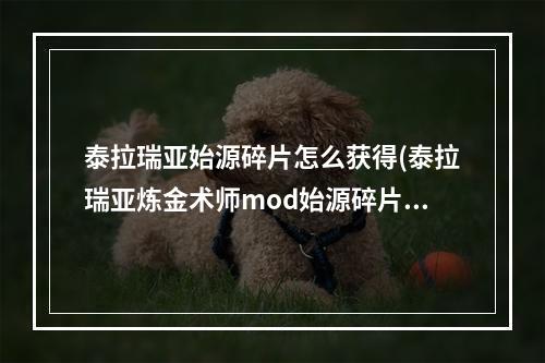 泰拉瑞亚始源碎片怎么获得(泰拉瑞亚炼金术师mod始源碎片)