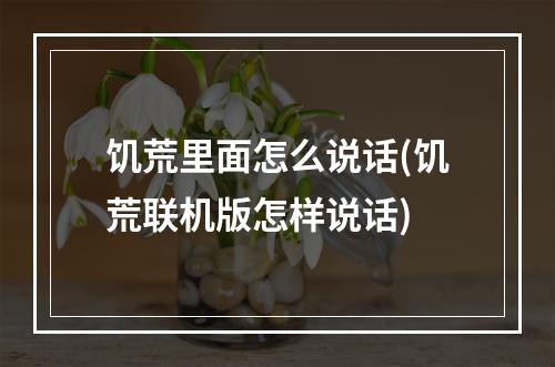 饥荒里面怎么说话(饥荒联机版怎样说话)