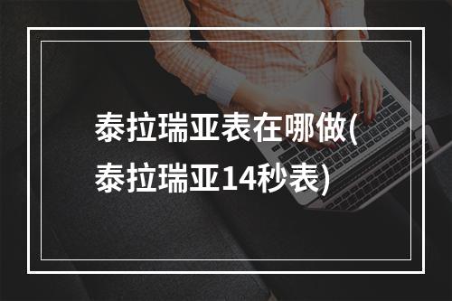 泰拉瑞亚表在哪做(泰拉瑞亚14秒表)