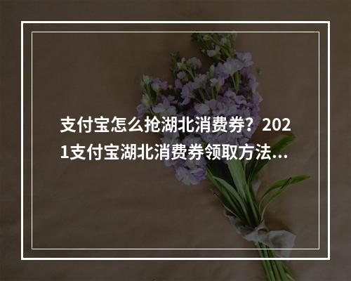 支付宝怎么抢湖北消费券？2021支付宝湖北消费券领取方法[多图]--手游攻略网