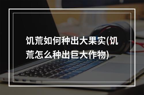 饥荒如何种出大果实(饥荒怎么种出巨大作物)