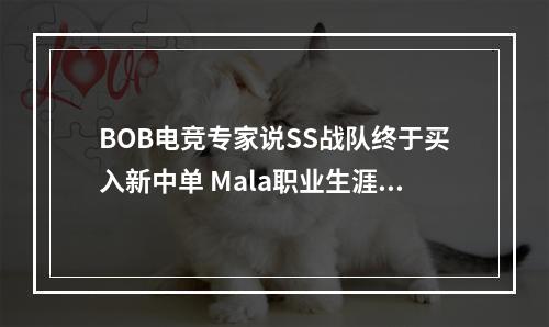 BOB电竞专家说SS战队终于买入新中单 Mala职业生涯结束--游戏攻略网