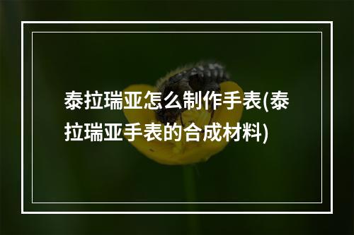 泰拉瑞亚怎么制作手表(泰拉瑞亚手表的合成材料)