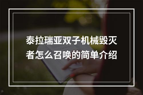 泰拉瑞亚双子机械毁灭者怎么召唤的简单介绍