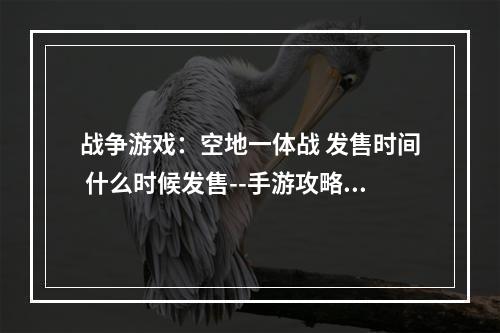 战争游戏：空地一体战 发售时间 什么时候发售--手游攻略网