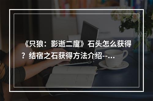 《只狼：影逝二度》石头怎么获得？结宿之石获得方法介绍--手游攻略网