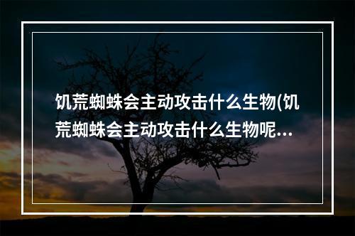 饥荒蜘蛛会主动攻击什么生物(饥荒蜘蛛会主动攻击什么生物呢)