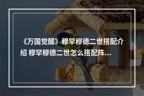 《万国觉醒》穆罕穆德二世搭配介绍 穆罕穆德二世怎么搭配阵容--游戏攻略网