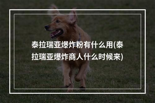 泰拉瑞亚爆炸粉有什么用(泰拉瑞亚爆炸商人什么时候来)