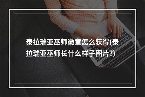 泰拉瑞亚巫师徽章怎么获得(泰拉瑞亚巫师长什么样子图片?)