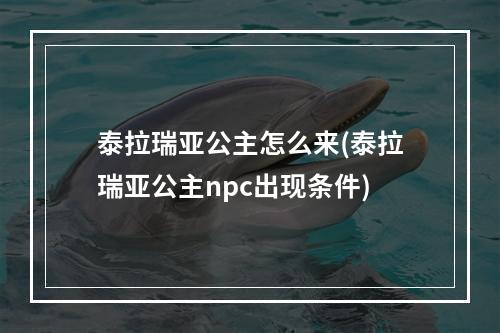 泰拉瑞亚公主怎么来(泰拉瑞亚公主npc出现条件)