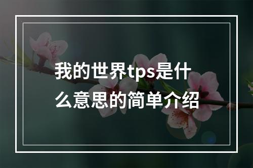 我的世界tps是什么意思的简单介绍