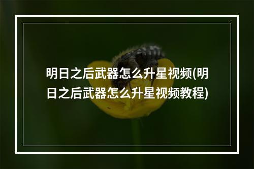 明日之后武器怎么升星视频(明日之后武器怎么升星视频教程)