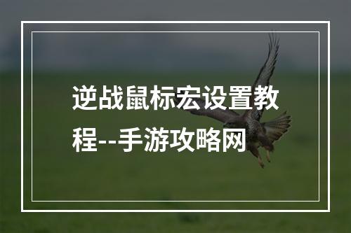 逆战鼠标宏设置教程--手游攻略网