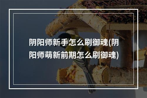 阴阳师新手怎么刷御魂(阴阳师萌新前期怎么刷御魂)