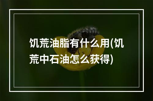 饥荒油脂有什么用(饥荒中石油怎么获得)