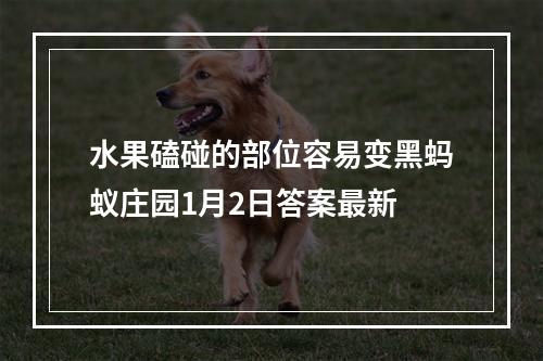 水果磕碰的部位容易变黑蚂蚁庄园1月2日答案最新