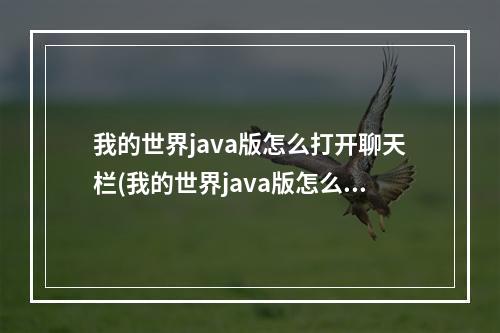 我的世界java版怎么打开聊天栏(我的世界java版怎么打开聊天栏设置)